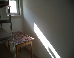 Appartement 2 chambres à louer dans Cluj-napoca, zone Marasti