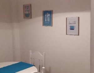 Lakás 1 szobák kiadó on Cluj-napoca, Zóna Plopilor