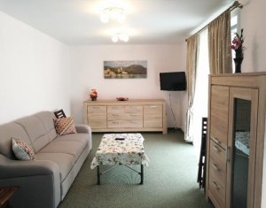 Lakás 2 szobák kiadó on Cluj-napoca, Zóna Andrei Muresanu