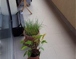 Lakás 2 szobák kiadó on Cluj-napoca, Zóna Buna Ziua