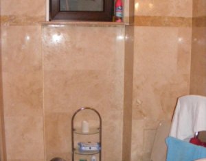 Appartement 1 chambres à louer dans Cluj-napoca, zone Centru