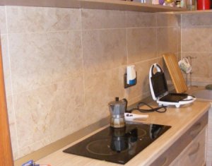 Appartement 1 chambres à louer dans Cluj-napoca, zone Centru