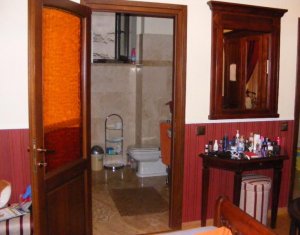 Appartement 1 chambres à louer dans Cluj-napoca, zone Centru