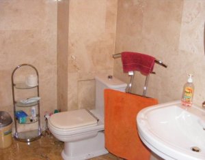 Appartement 1 chambres à louer dans Cluj-napoca, zone Centru