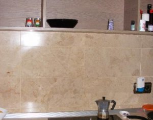 Appartement 1 chambres à louer dans Cluj-napoca, zone Centru