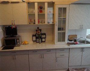 Appartement 1 chambres à louer dans Cluj-napoca, zone Marasti