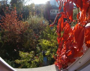 Lakás 2 szobák kiadó on Cluj-napoca