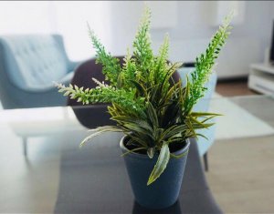 Lakás 3 szobák kiadó on Cluj-napoca, Zóna Dambul Rotund