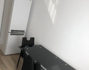 Lakás 2 szobák kiadó on Cluj-napoca, Zóna Intre Lacuri