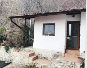 Lakás 1 szobák kiadó on Cluj-napoca, Zóna Grigorescu