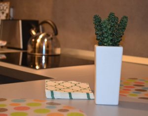 Lakás 2 szobák kiadó on Cluj-napoca, Zóna Centru