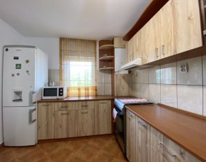 Appartement 4 chambres à louer dans Cluj-napoca, zone Gheorgheni