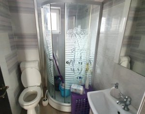 Maison 4 chambres à louer dans Floresti