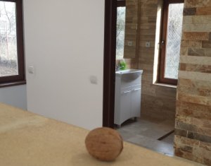 Ház 4 szobák kiadó on Cluj-napoca, Zóna Europa