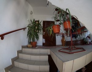 Ház 3 szobák kiadó on Cluj-napoca, Zóna Iris