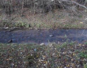 Ház 4 szobák eladó on Somesu Rece