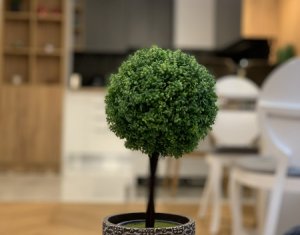 Lakás 2 szobák eladó on Cluj-napoca, Zóna Gheorgheni