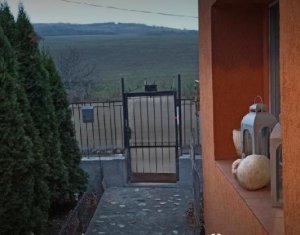 Ház 4 szobák eladó on Rascruci