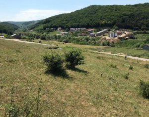 , 1445m2 on Floresti