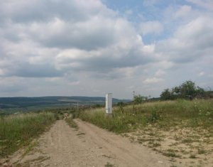 Terrain à vendre dans Cluj-napoca, zone Iris