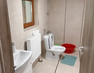 Ház 4 szobák kiadó on Cluj-napoca, Zóna Borhanci