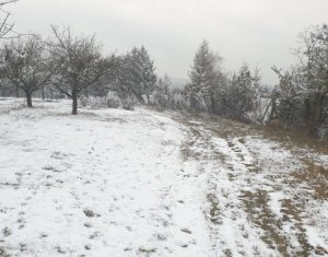 Telek eladó on Cluj-napoca, Zóna Buna Ziua