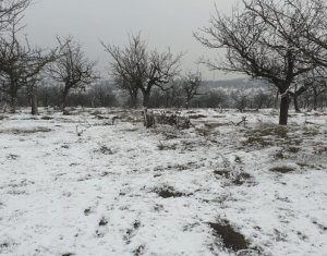 Telek eladó on Cluj-napoca, Zóna Buna Ziua