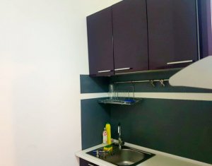 Appartement 2 chambres à louer dans Cluj-napoca, zone Centru