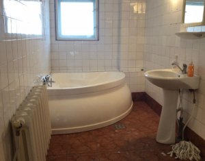 Appartement 4 chambres à louer dans Cluj-napoca, zone Centru