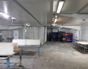 Telek eladó on Cluj-napoca, Zóna Apahida