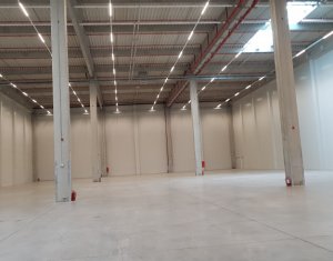 Industrial space for rent, 2660m2 in Floresti