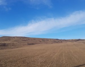 Telek eladó on Cluj-napoca