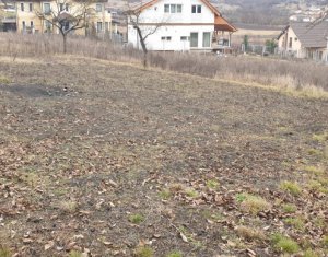 Teren cu PUZ in faza finala 11 unitati locative Borhanci