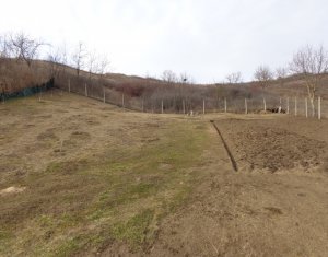 Ház 9 szobák eladó on Cara