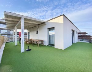 Lakás 5 szobák kiadó on Cluj-napoca