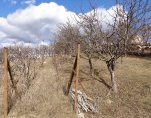 Ház 2 szobák eladó on Dezmir