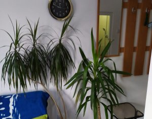 Garzon eladó on Cluj-napoca, Zóna Gheorgheni