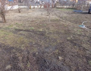 Ház 4 szobák eladó on Apahida