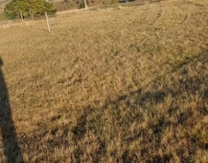 Telek eladó on Marisel