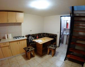 Appartement 1 chambres à louer dans Cluj-napoca, zone Centru