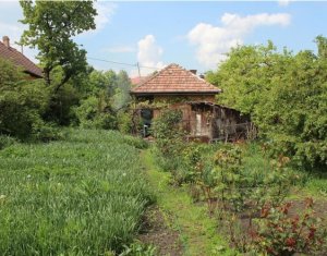 , 831m2 on Cluj-napoca, Zóna Gheorgheni