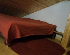 Maison 3 chambres à vendre dans Cluj-napoca, zone Borhanci