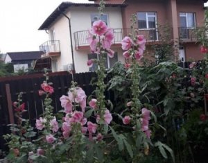 Ház 4 szobák eladó on Floresti