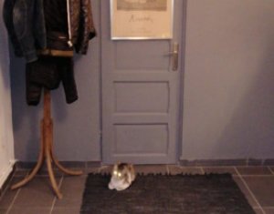 Ház 7 szobák eladó on Jucu De Mijloc