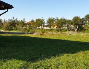 Ház 4 szobák eladó on Luna De Sus