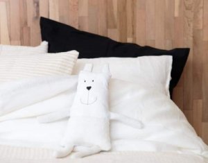 Lakás 1 szobák kiadó on Cluj-napoca, Zóna Centru