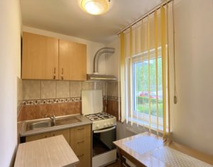 Studio à louer dans Cluj-napoca, zone Zorilor