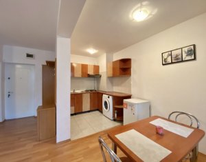 Lakás 1 szobák kiadó on Cluj-napoca, Zóna Zorilor