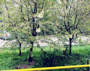 Lakás 2 szobák eladó on Cluj-napoca, Zóna Gruia