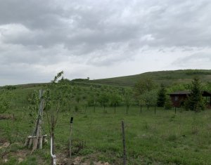 Telek eladó on Cluj-napoca, Zóna Sopor
